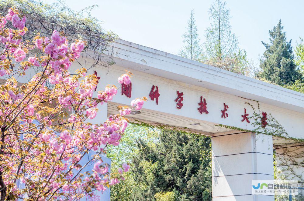 合肥专业网页设计服务：从网站策划到上线维护，全方位满足您的企业需求