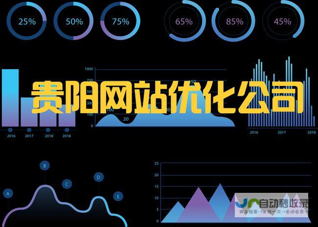 昆明网站优化服务：专业技术团队，精准策略，实现网站效益最大化