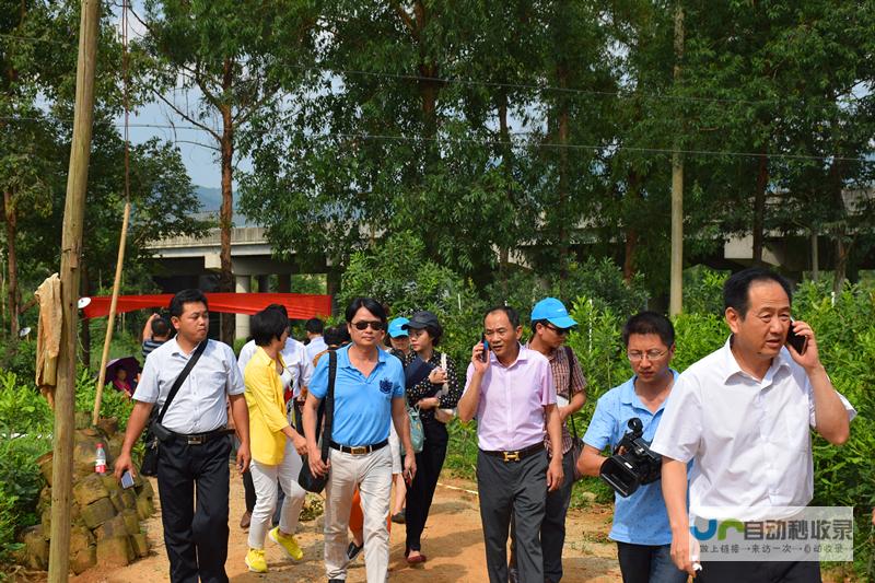 岑溪企业网站建设：打造岑溪品牌形象，提升岑溪企业竞争力